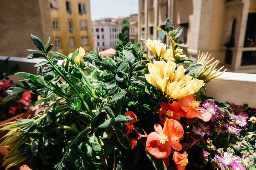 Adriano Augusto Bed & Breakfast Rome Exterior photo