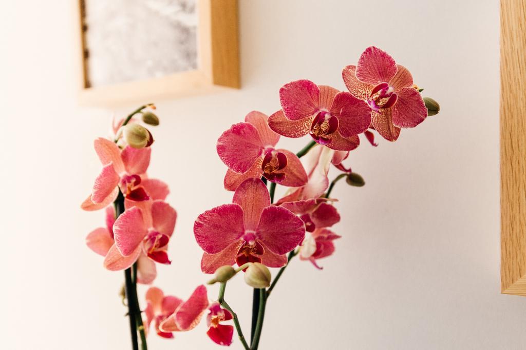 Adriano Augusto Bed & Breakfast Rome Room photo