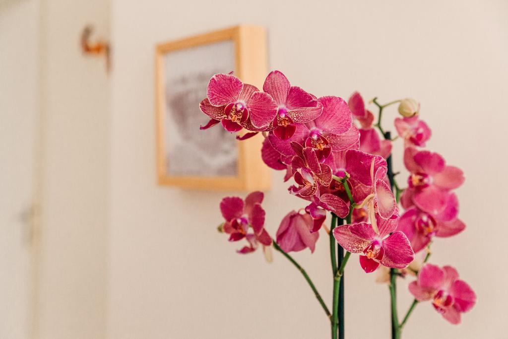 Adriano Augusto Bed & Breakfast Rome Room photo