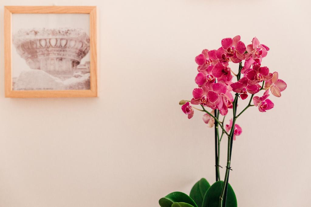 Adriano Augusto Bed & Breakfast Rome Room photo